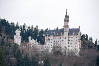 Kayalar, dağlar ve ormanlarla çevrili eski taş kale Neuschwanstein Kalesi