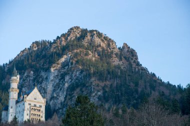 Kayalar, dağlar ve ormanlarla çevrili eski taş kale Neuschwanstein Kalesi