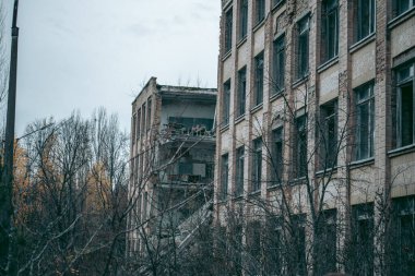 Çernobil 'deki Pripyat' taki eski harabe ev.
