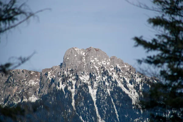 ドイツの雪と青い空と高山の高い山 — ストック写真