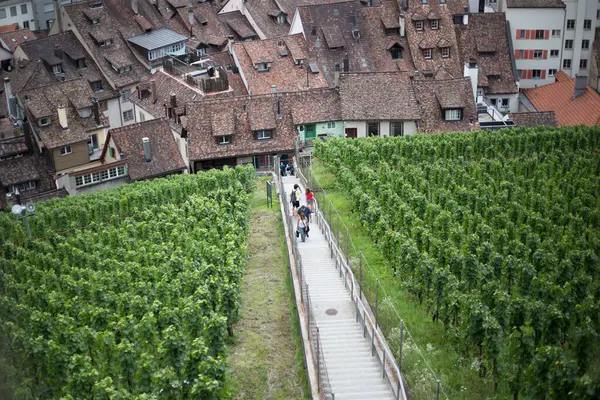 Panoramic View Old European City Schaffhausen — Stock Photo, Image