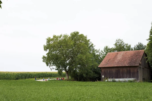 Altes Holzhaus Der Nähe Des Feldes Europa — Stockfoto