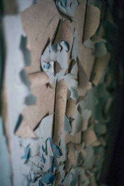 Çernobil 'deki Pripyat' taki eski harabe ev.