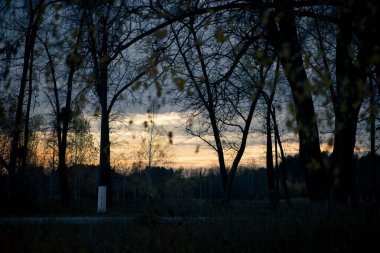 Çernobil 'de Pripyat' ta güzel bir gün batımı