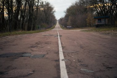 Çernobil 'deki Pripyat ormanındaki yol.