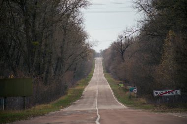 Çernobil 'deki Pripyat ormanındaki yol.