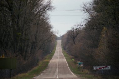 Çernobil 'deki Pripyat ormanındaki yol.