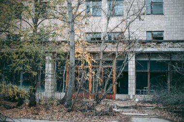 Çernobil 'deki Pripyat' taki eski harabe ev.