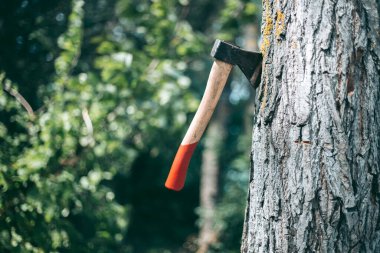 Ağaca saplanmış kırmızı tahta saplı balta.