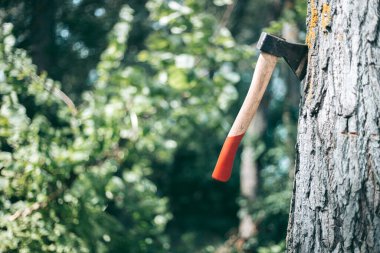 Ağaca saplanmış kırmızı tahta saplı balta.