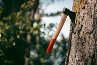 Ağaca saplanmış kırmızı tahta saplı balta.