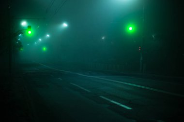 Karayolu gece sisli şehirde