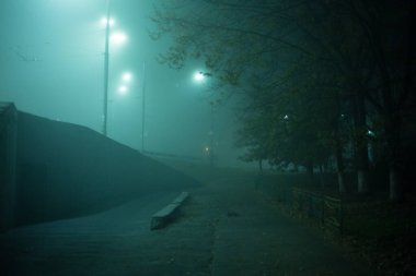 Karayolu gece sisli şehirde