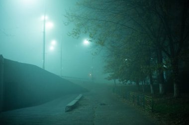 Karayolu gece sisli şehirde