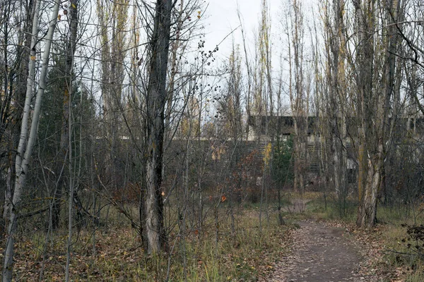 Tribuna Abandonada Pripyat Chernobyl — Foto de Stock