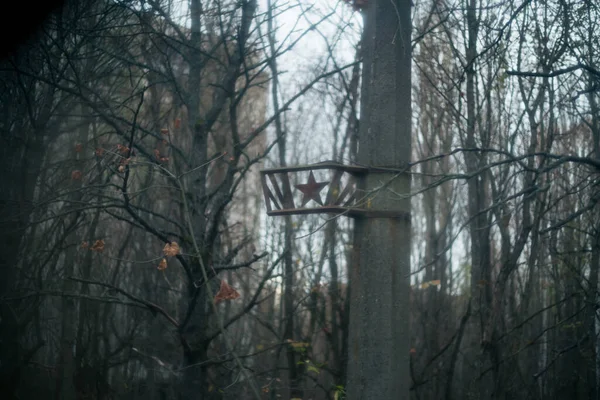 Bosque Otoño Pripyat Chernobyl —  Fotos de Stock