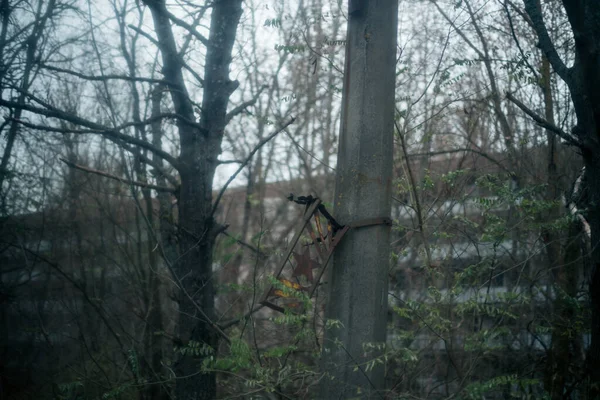 Bosque Otoño Pripyat Chernobyl —  Fotos de Stock