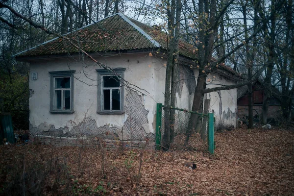 Старая Хижина Лесу Припяти Чернобыле — стоковое фото