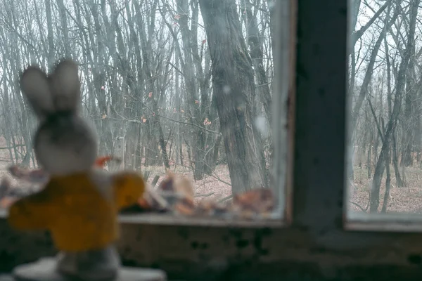 Soft toy doll in an abandoned school in Pripyat in Chernobyl