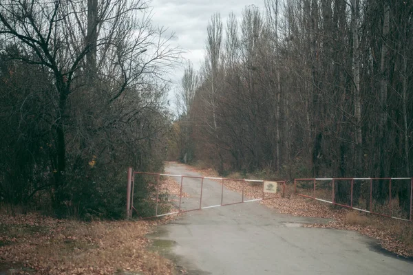 Bosque Otoño Pripyat Chernobyl — Foto de Stock