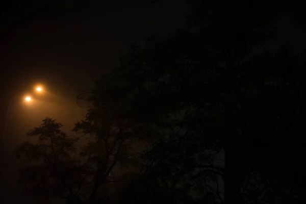 Laterne Bei Nacht Nebel Der Stadt — Stockfoto