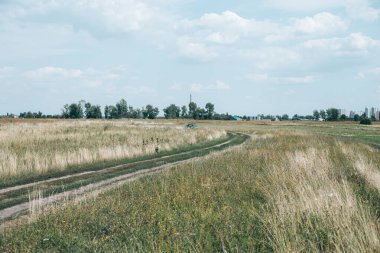 Çimenli yeşil alan ve bulutlu gökyüzü