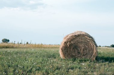 Sonbaharda güneşli bir havada samanlıkta saman yığını