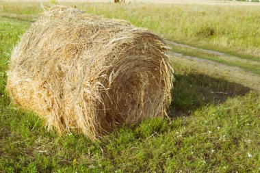 Sonbaharda güneşli bir havada samanlıkta saman yığını