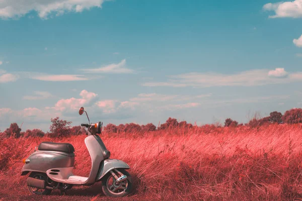 Pink vintage motorbike in the field