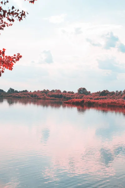 Otoño Paisaje Colorido Cerca Del Agua — Foto de Stock