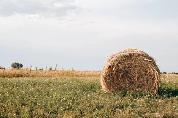 Haystack บนสนามในฤด ใบไม วงในสภาพอากาศแดด — ภาพถ่ายสต็อก