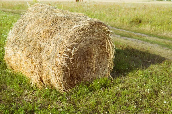 Haystack Поле Осенью Солнечную Погоду — стоковое фото