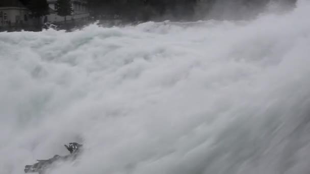 Riesige Wassermassen Einem Wasserfall Schaffhausen Rhein — Stockvideo