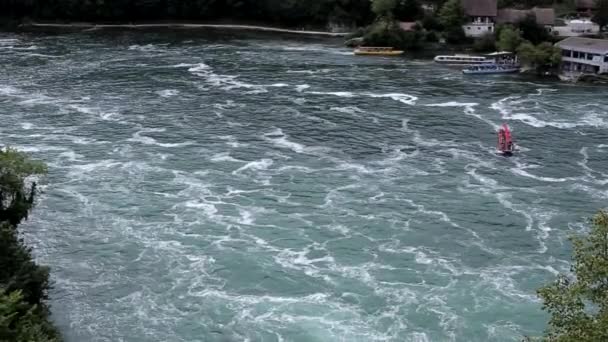 Correntes Maciças Água Numa Cascata Schaffhausen Rio Reno — Vídeo de Stock