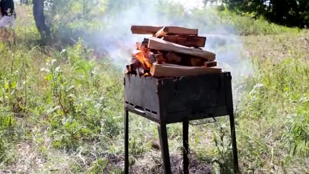 Holzkohlebrand Auf Dem Grill Auf Einer Lichtung — Stockvideo