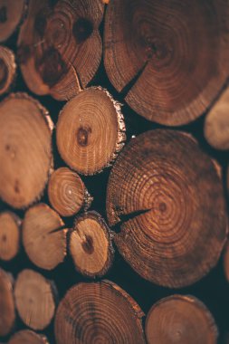 Çam kütüklü ahşap doku