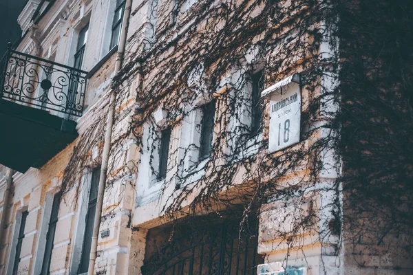 Planta Escalada Hiedra Fachada Del Edificio Andreevsky Descenso — Foto de Stock