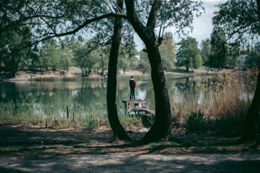Baharda güpegündüz bir ağacın yeşil yaprakları
