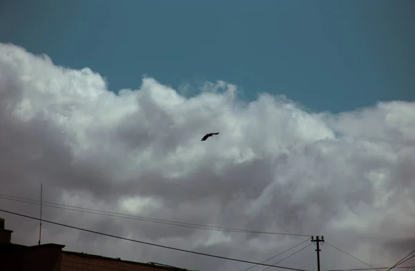 Pluizige Wolken Bedekken Zomer Blauwe Lucht — Stockfoto