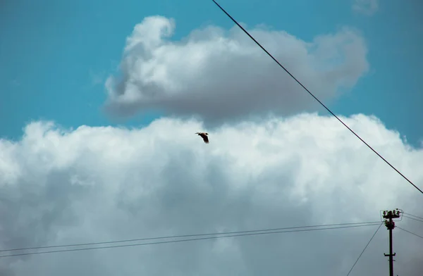 Pluizige Wolken Bedekken Zomer Blauwe Lucht — Stockfoto