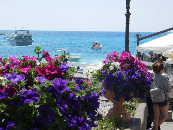Pozitano, Campania. İtalya. 26 Nisan 2017. Positano sahilinde güzel bir çiçek..