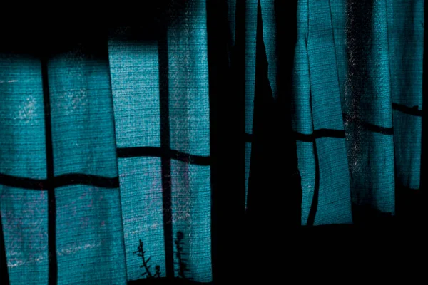 a blue curtain with light from the back and a plant\'s shadow.