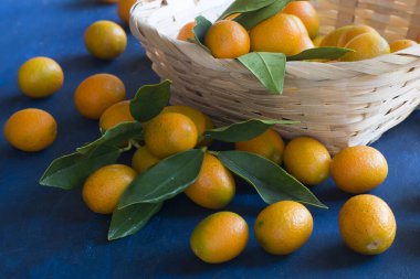 Mavi arka planda kumkatlı ve yapraklı bir sepet..