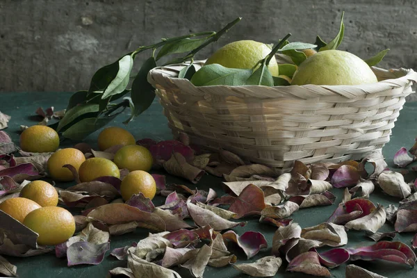 İçinde limon, yapraklar ve kumkatlar olan bir sepet. Durgun hayat .