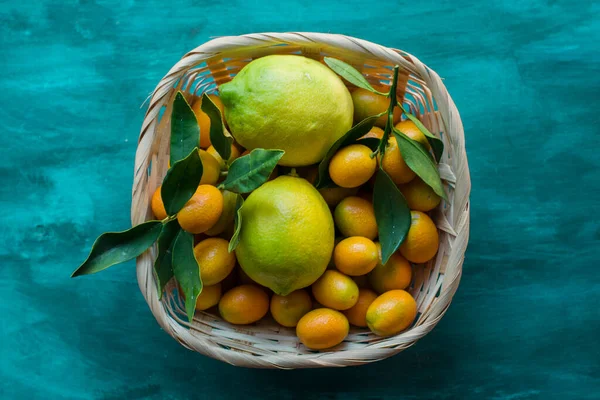 Açık mavi bir zemin üzerinde kumkat ve limon dolu bir güneşlik.