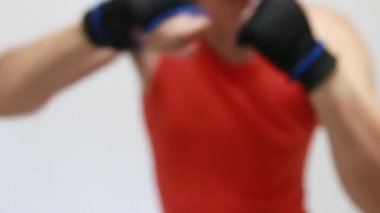 Boxer gölge boks yapıyor