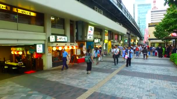 Tokio Japón Septiembre 2017 Seguimiento Toma Varios Restaurantes Bajo Viaducto — Vídeo de stock