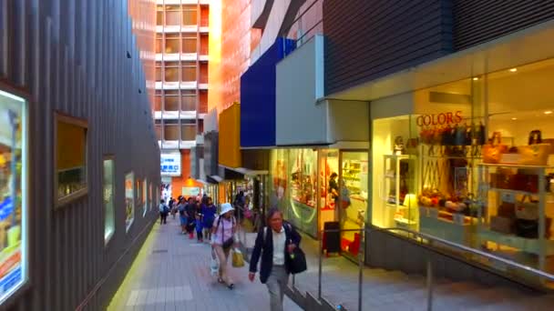 Tokio Japón Septiembre 2017 Calle Mosaico Shinjuku Tokio Japón Visitada — Vídeo de stock