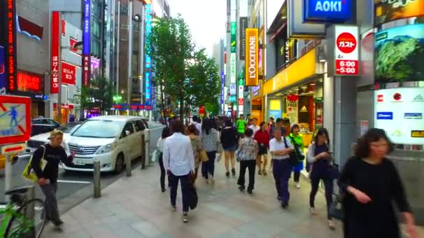 東京都 月19日 2017 新宿通り沿いの新宿商店街 地元の人たちや世界中からの観光客が訪れる — ストック動画