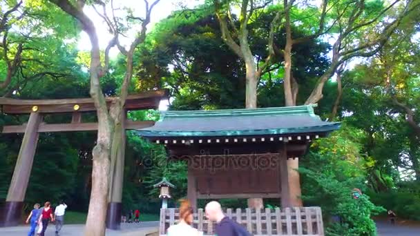 Tokio Japan September 2017 Torii Poort Van Meiji Jingu Shrine — Stockvideo